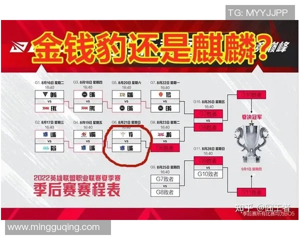 赛后分析：LNG与V5实力对比及未来发展趋势探讨